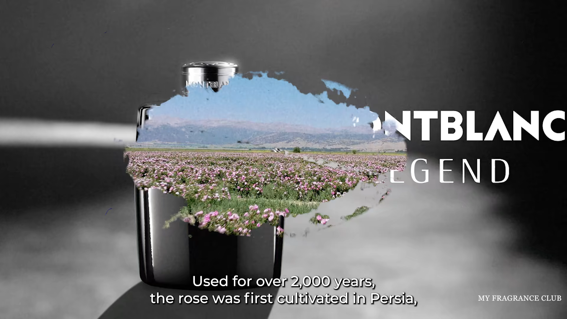 Image extraite de Interparfums — Rose