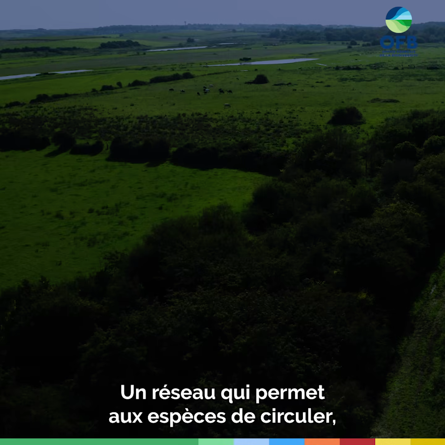Image extraite de Webedia — Les Haies